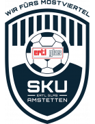 维也纳快速青年队